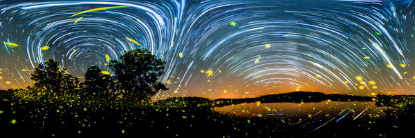Fireflies of the Ozarks - 360 Panorama