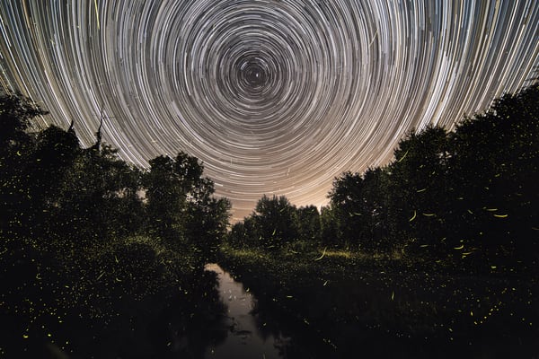 Fireflies Over Battle Creek