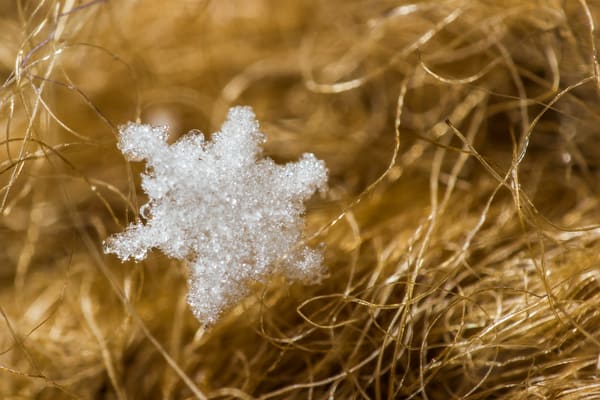 Snowflake on Wool Mitten