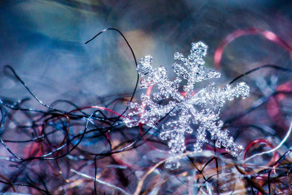Snowflake on a Mitten