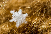 Snowflake on Wool Mitten