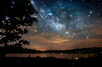 Fireflies Under The Milky Way