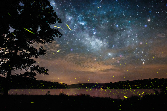 Fireflies Under The Milky Way
