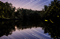 Fireflies at the Quarry